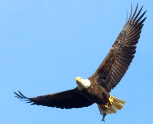 Les calomniateurs de Dieu