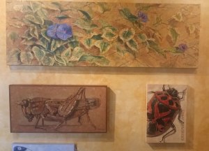 Xisco Fuentes sur Eury News