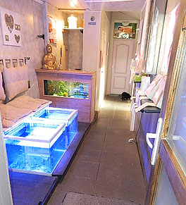 Eurynewsd2016FishPedicure